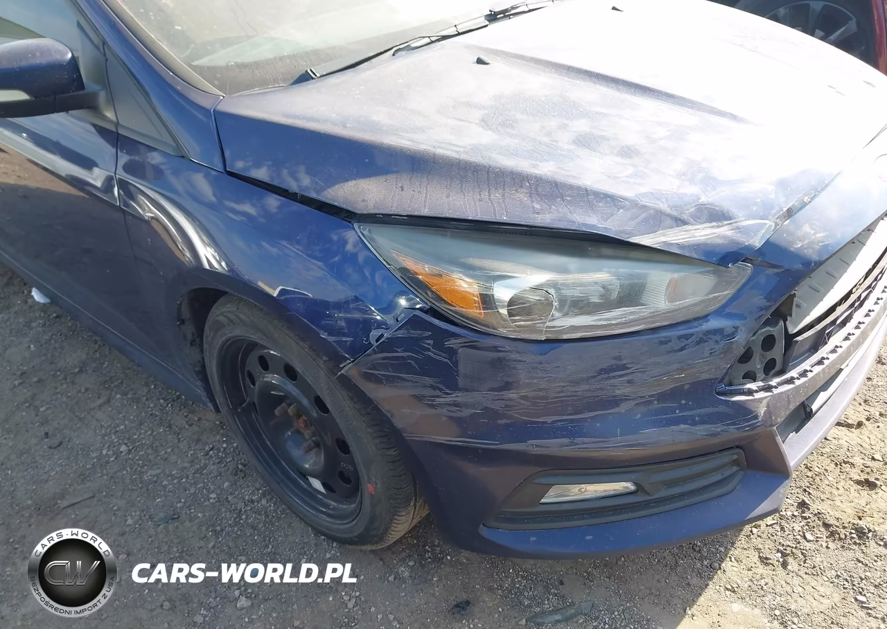2016 Ford Focus St VIN:1FADP3L90GL200075 - 12