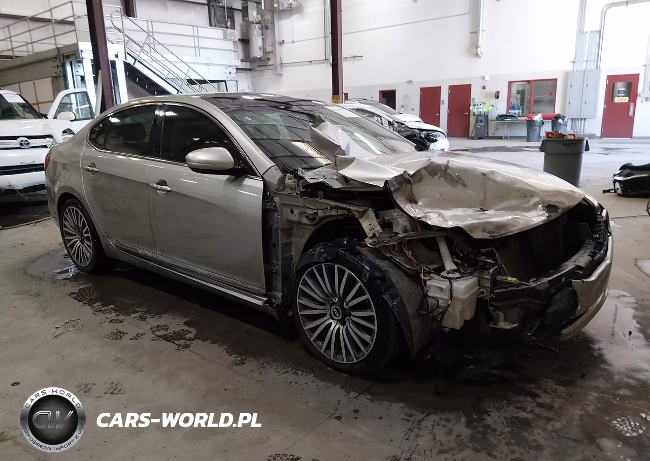 2015 Kia Cadenza Premium VIN:KNALN4D75F5171221 - 14