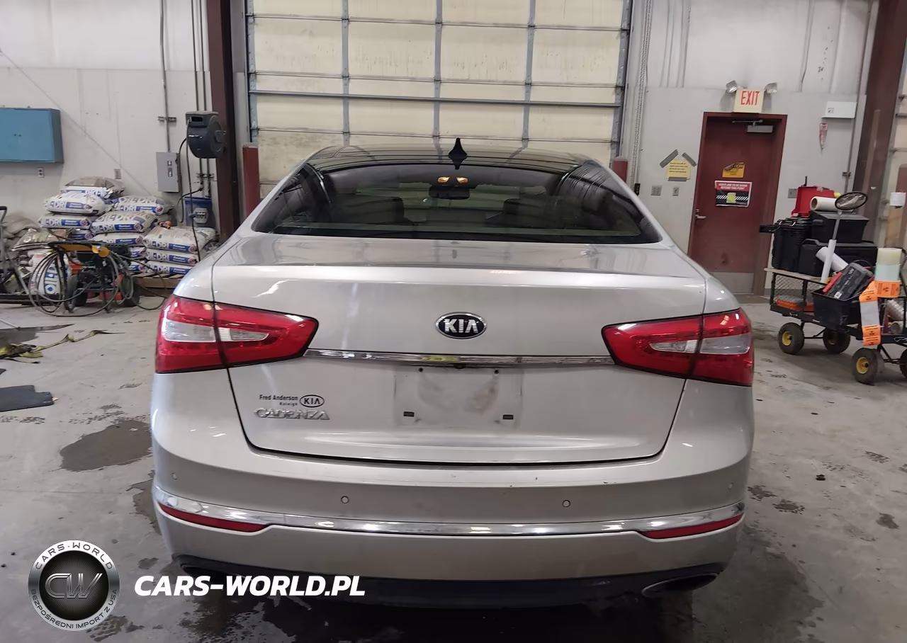 2015 Kia Cadenza Premium VIN:KNALN4D75F5171221 - 17