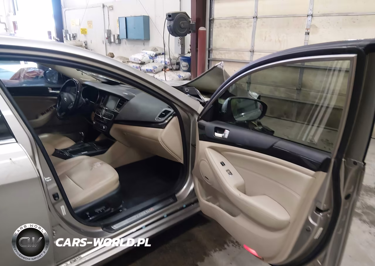 2015 Kia Cadenza Premium VIN:KNALN4D75F5171221 - 5