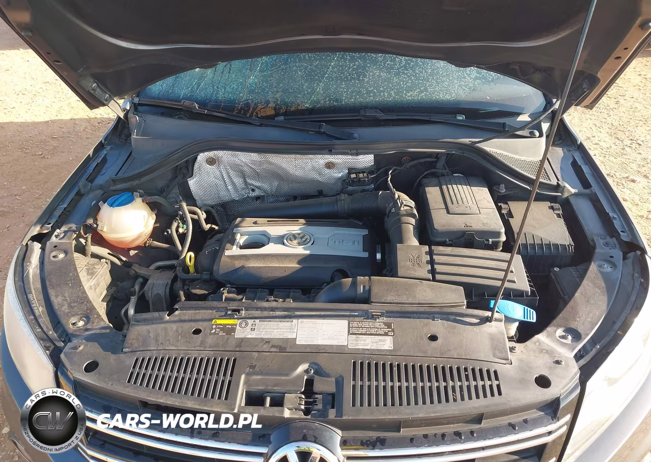 2015 Volkswagen Tiguan R-Line VIN:WVGBV7AX5FW019904 - 10