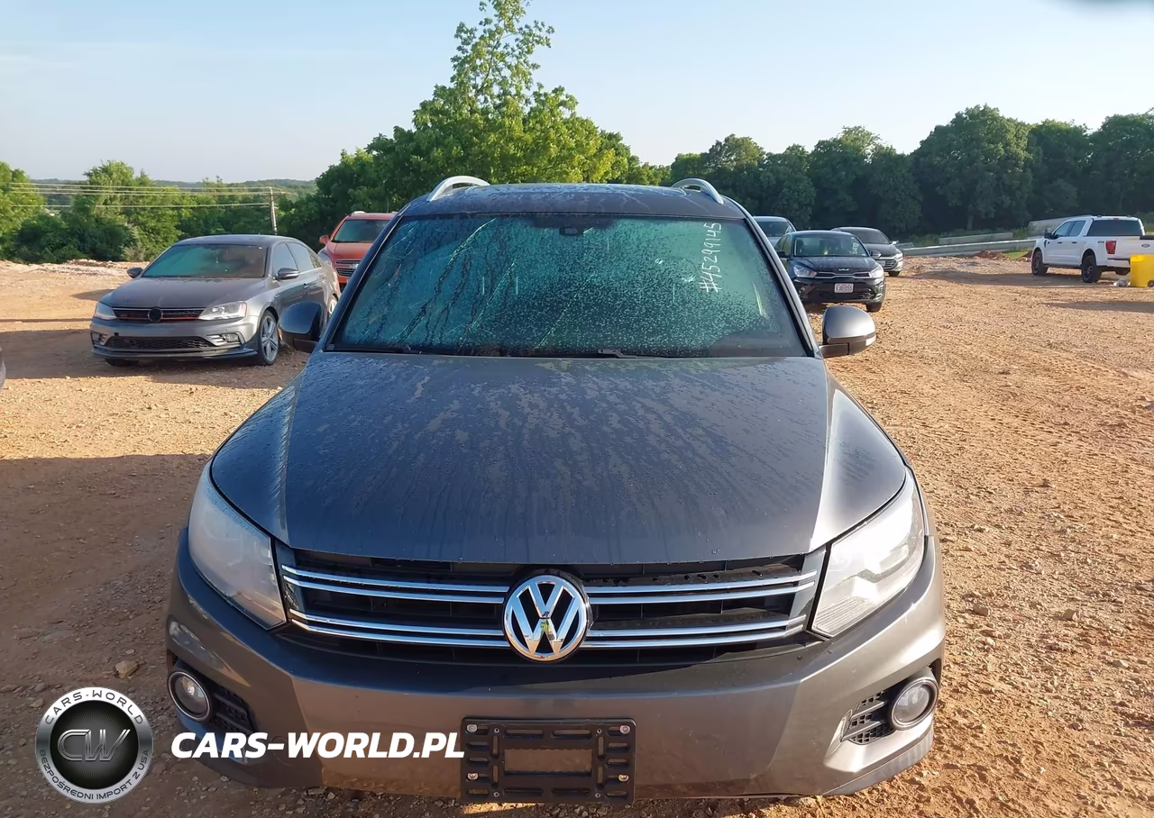 2015 Volkswagen Tiguan R-Line VIN:WVGBV7AX5FW019904 - 12