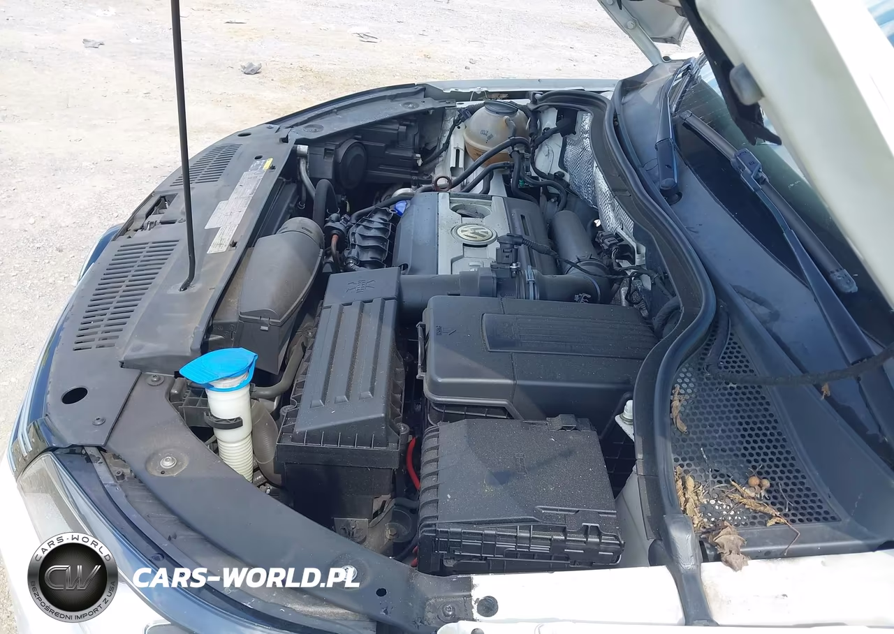 2013 Volkswagen Tiguan S VIN:WVGAV3AX6DW566598 - 10