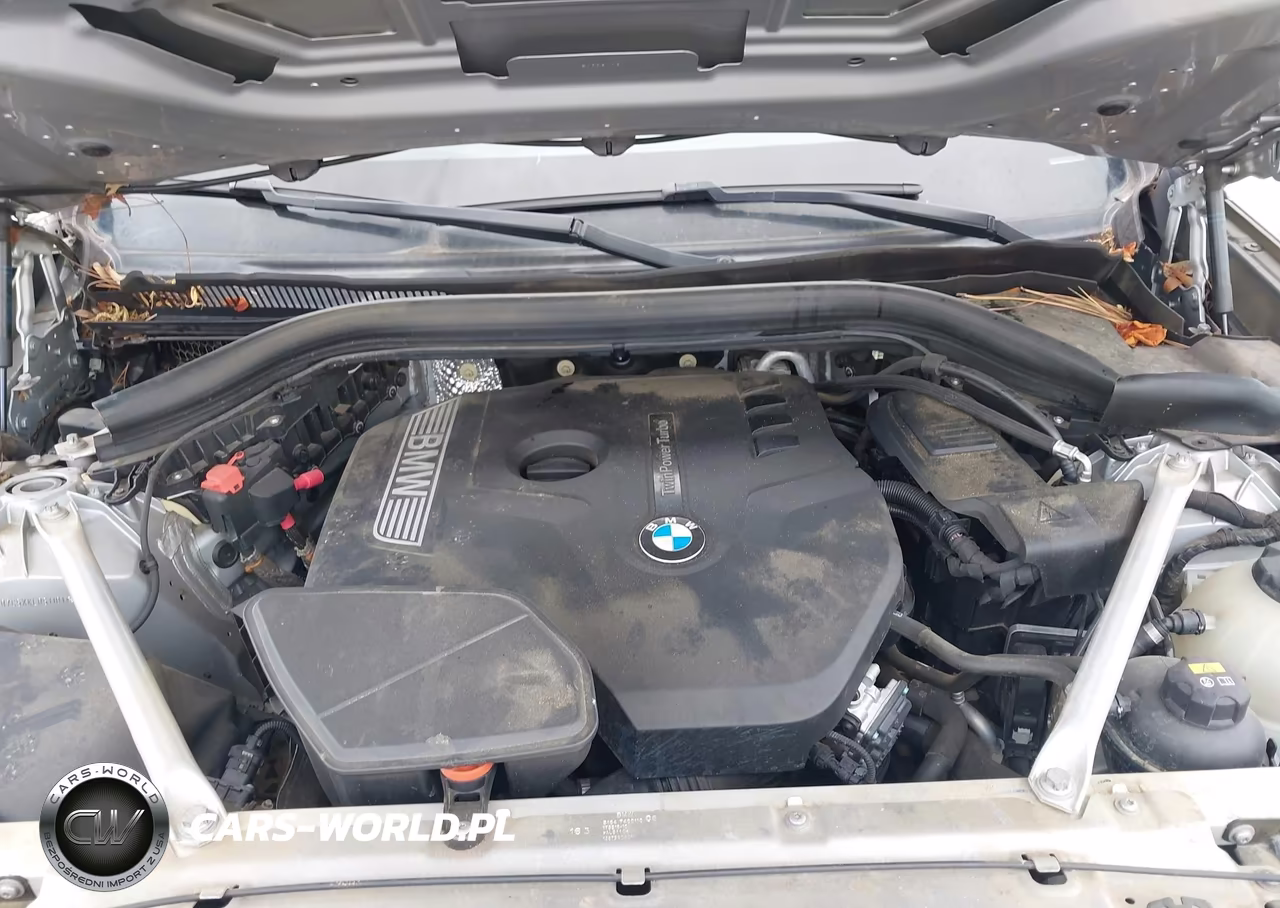 2019 BMW X3 Sdrive30I VIN:5UXTR7C5XKLR51101 - 10