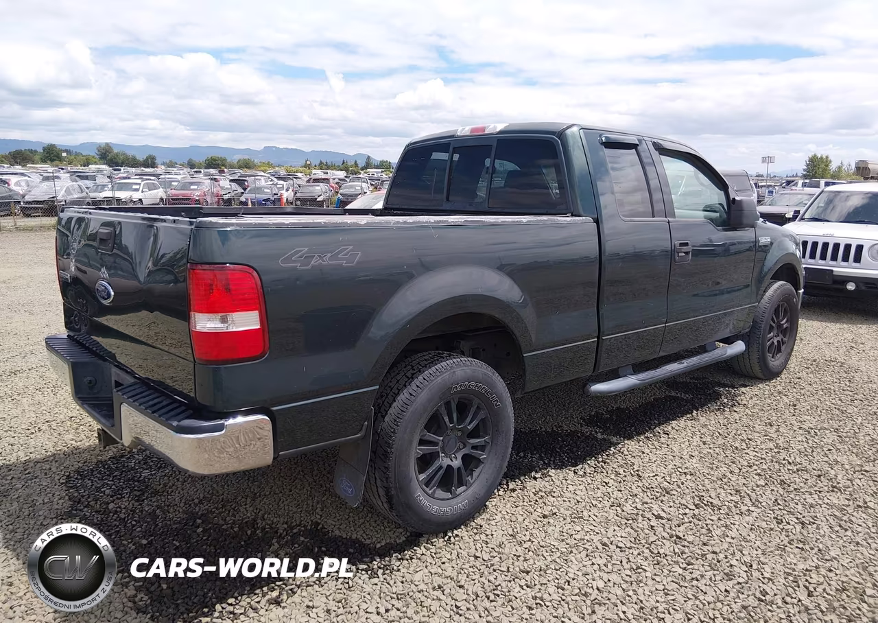 2004 Ford F-150 Fx4-Lariat-Xl-Xlt VIN:1FTPX14544NC31496 - 4