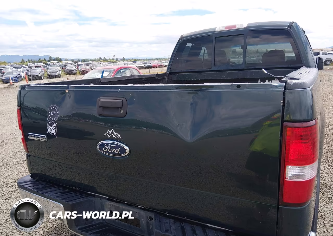 2004 Ford F-150 Fx4-Lariat-Xl-Xlt VIN:1FTPX14544NC31496 - 6