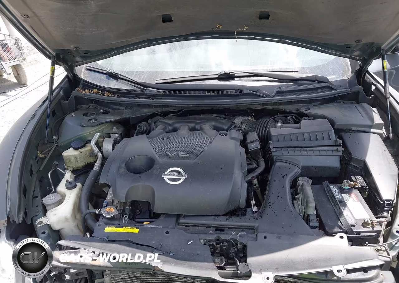 2010 Nissan Maxima 3.5 S VIN:1N4AA5AP6AC809664 - 10