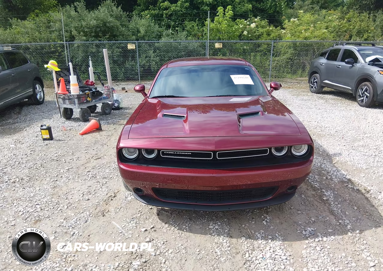 2019 Dodge Challenger Sxt VIN:2C3CDZAG8KH620437 - 12