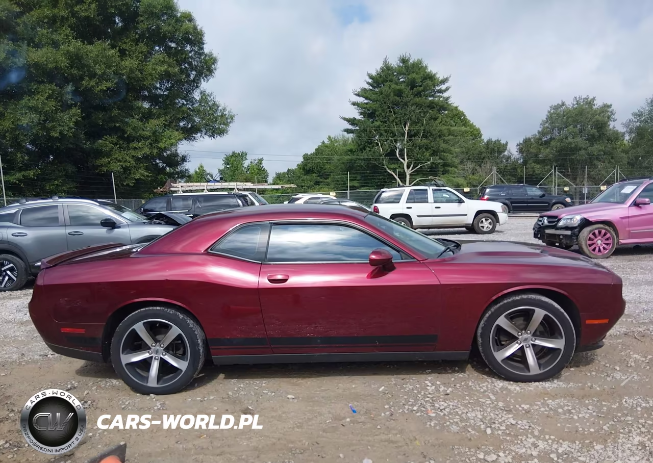 2019 Dodge Challenger Sxt VIN:2C3CDZAG8KH620437 - 13