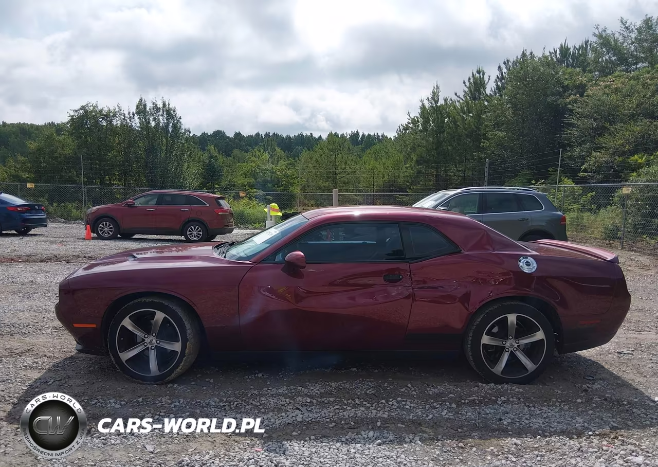 2019 Dodge Challenger Sxt VIN:2C3CDZAG8KH620437 - 14