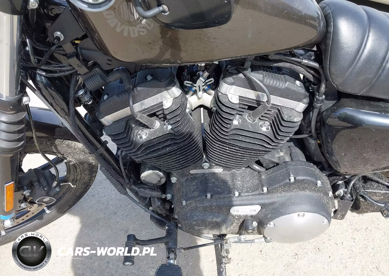 2020 Harley-Davidson Xl883 N VIN:1HD4LE216LB411566 - 9