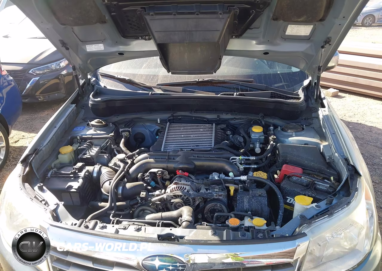 2010 Subaru Forester 2.5Xt Limited VIN:JF2SH6FC3AH781316 - 10