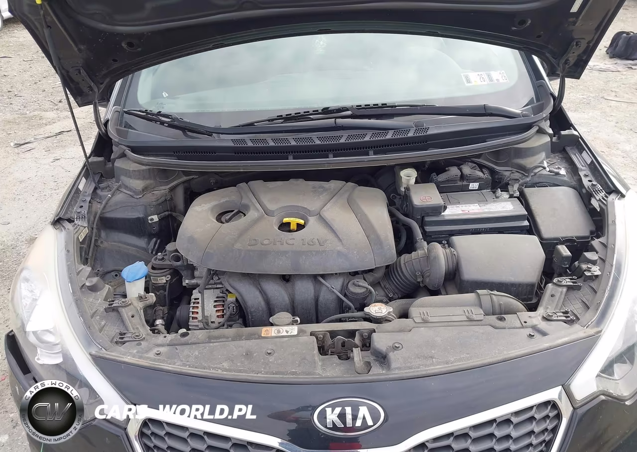 2016 Kia Forte Lx VIN:KNAFK4A66G5540073 - 10