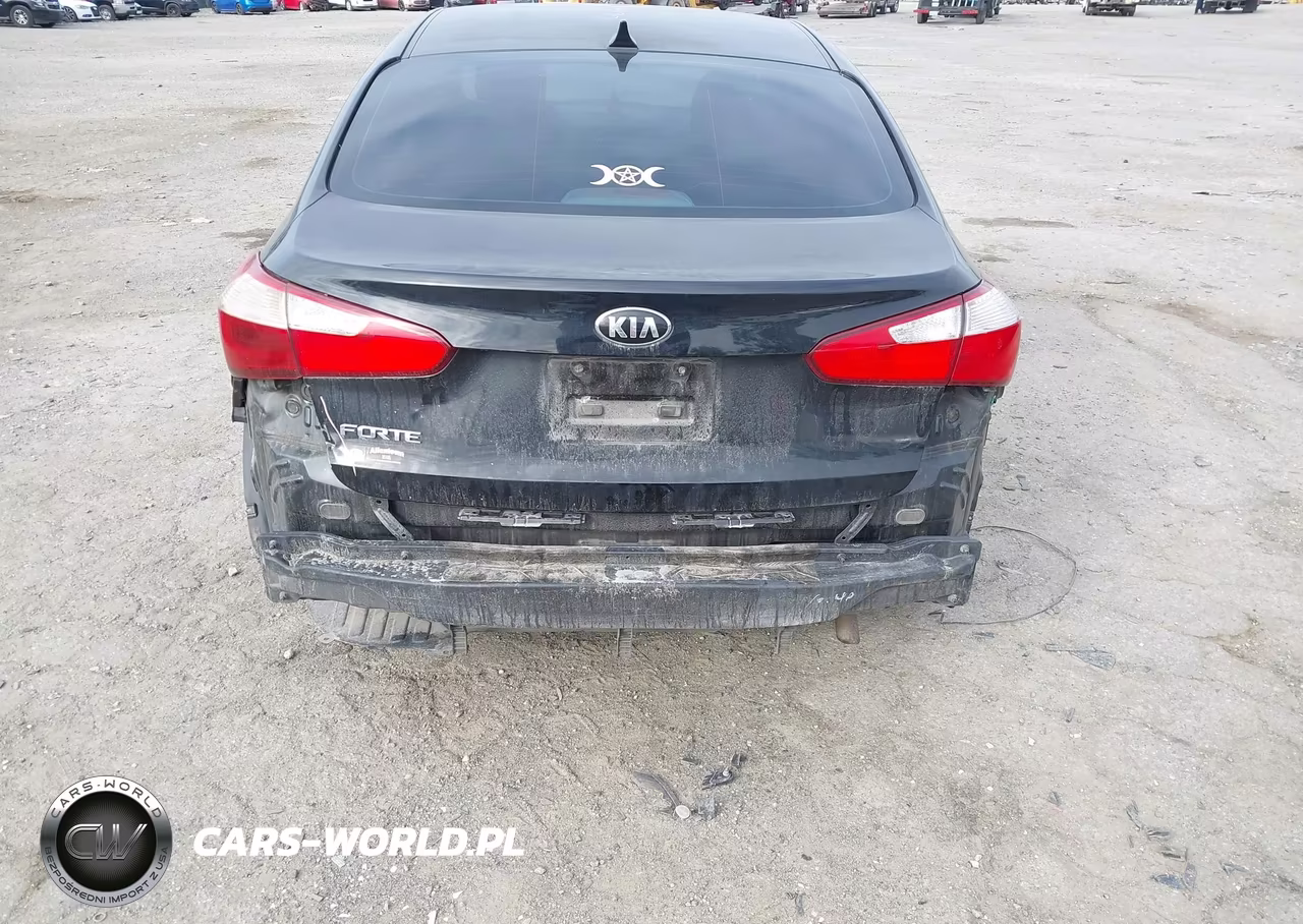 2016 Kia Forte Lx VIN:KNAFK4A66G5540073 - 15
