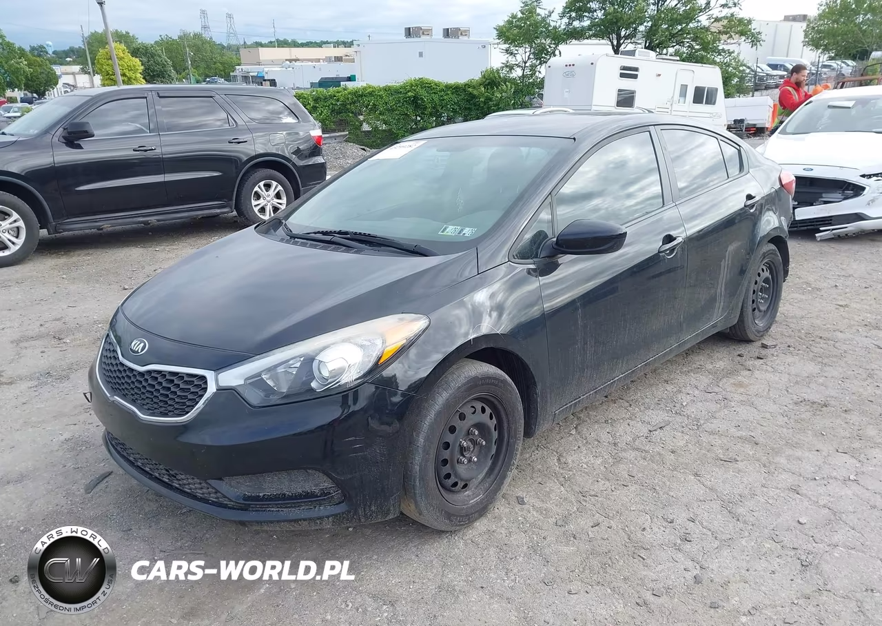 2016 Kia Forte Lx VIN:KNAFK4A66G5540073 - 2