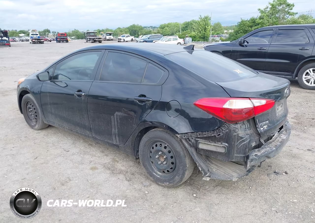 2016 Kia Forte Lx VIN:KNAFK4A66G5540073 - 3
