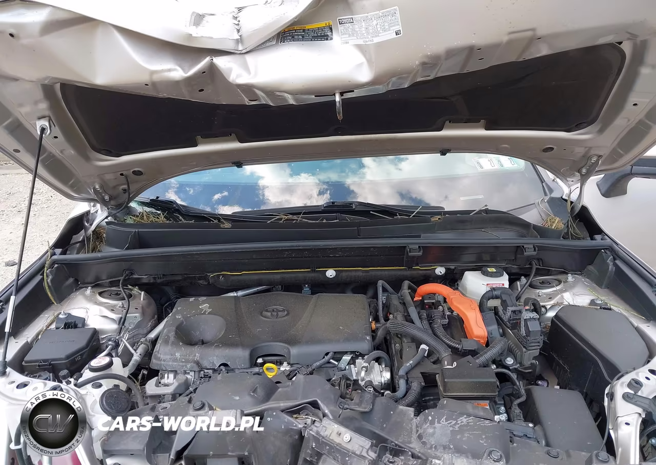 2023 Toyota Venza Xle VIN:JTEAAAAH7PJ137920 - 10