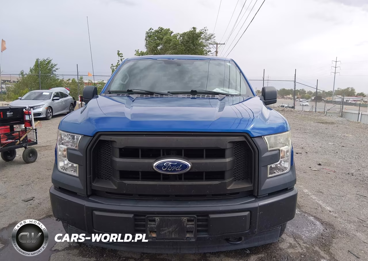 2017 Ford F-150 Xl VIN:1FTEW1E84HKD49610 - 12