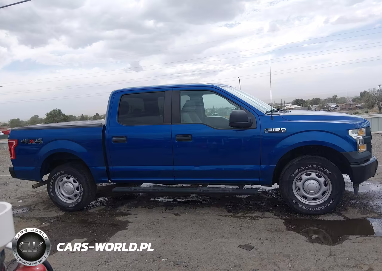 2017 Ford F-150 Xl VIN:1FTEW1E84HKD49610 - 13
