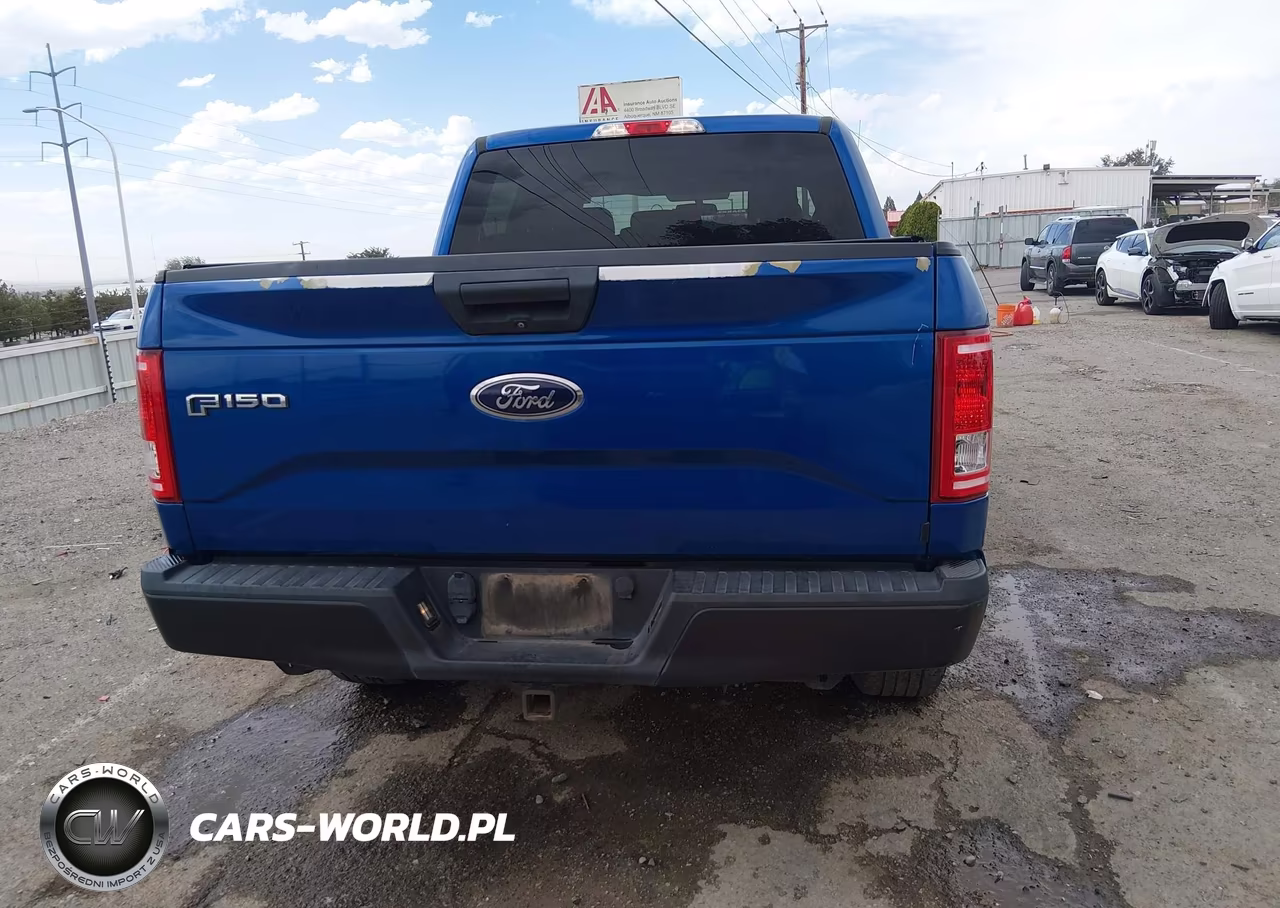 2017 Ford F-150 Xl VIN:1FTEW1E84HKD49610 - 16