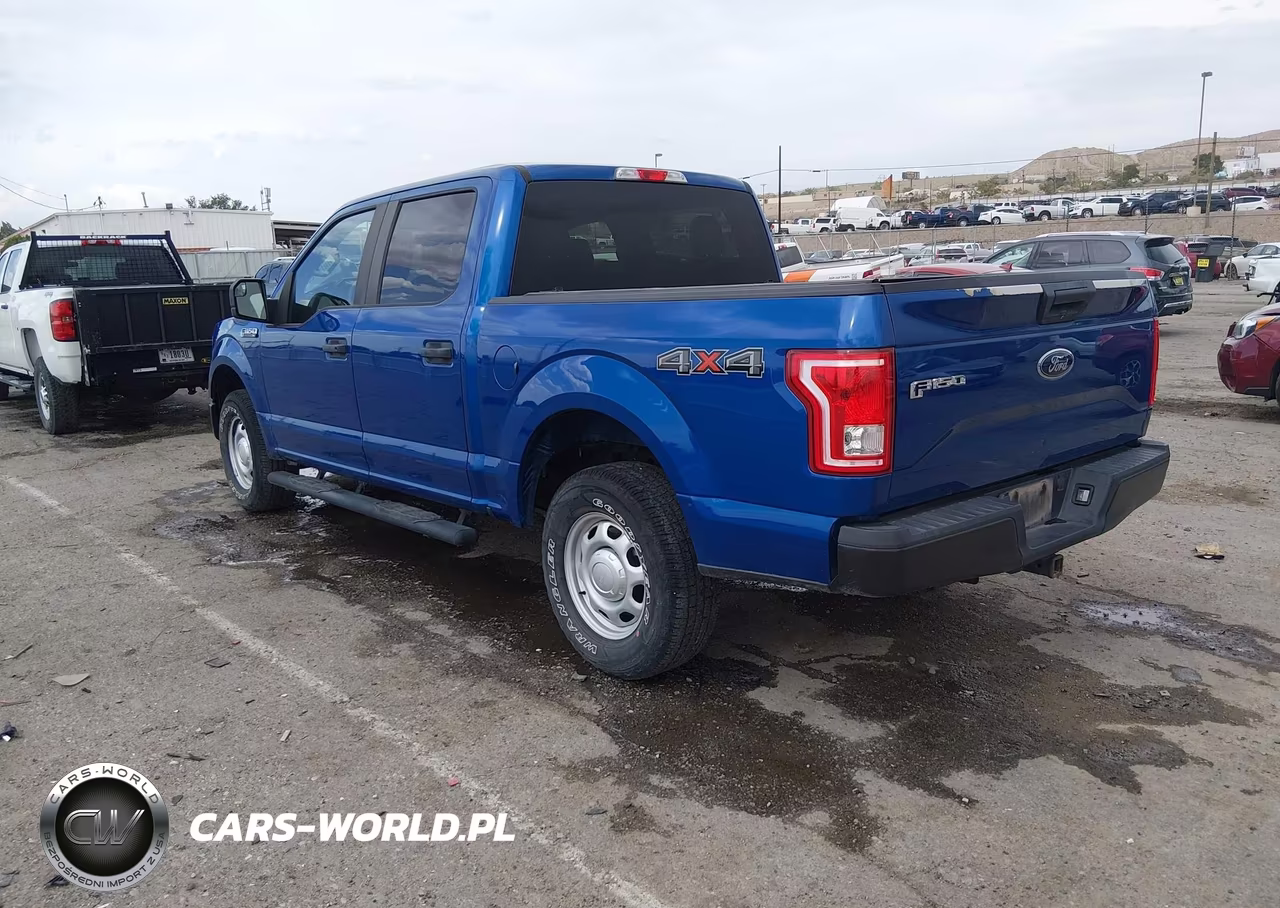 2017 Ford F-150 Xl VIN:1FTEW1E84HKD49610 - 3