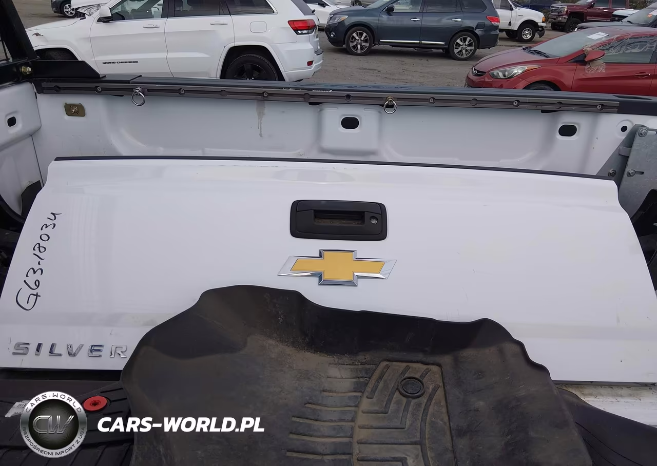 2017 Chevrolet Silverado 2500Hd Wt VIN:1GC1KUEY5HF196871 - 12