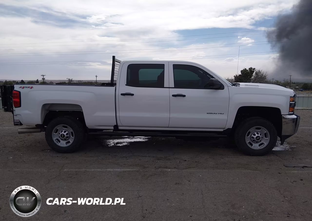 2017 Chevrolet Silverado 2500Hd Wt VIN:1GC1KUEY5HF196871 - 14