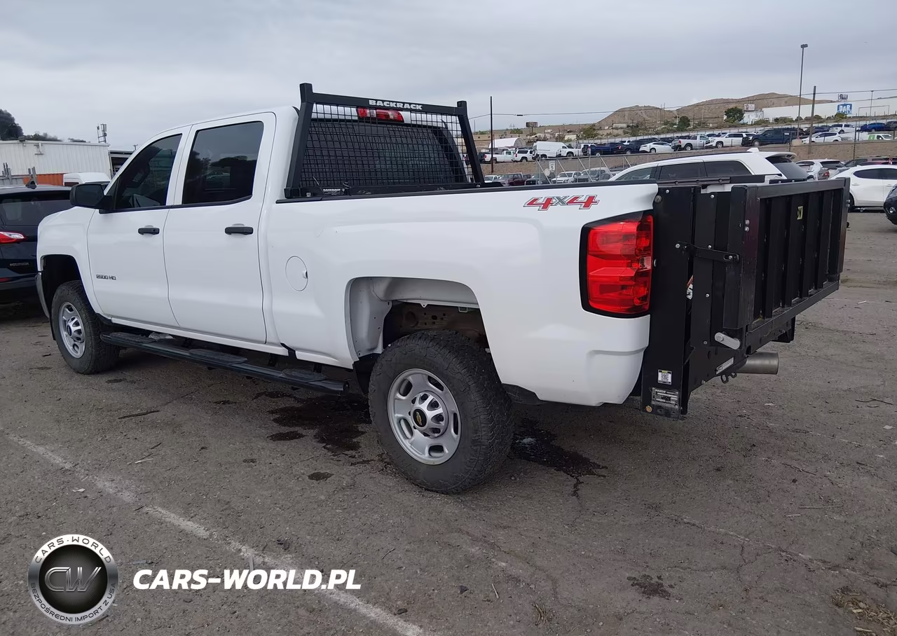 2017 Chevrolet Silverado 2500Hd Wt VIN:1GC1KUEY5HF196871 - 3