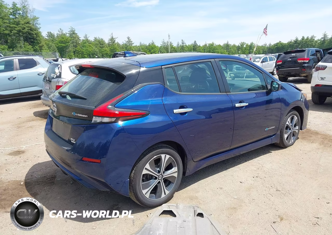2019 Nissan Leaf Sv Plus VIN:1N4BZ1CP8KC316735 - 4