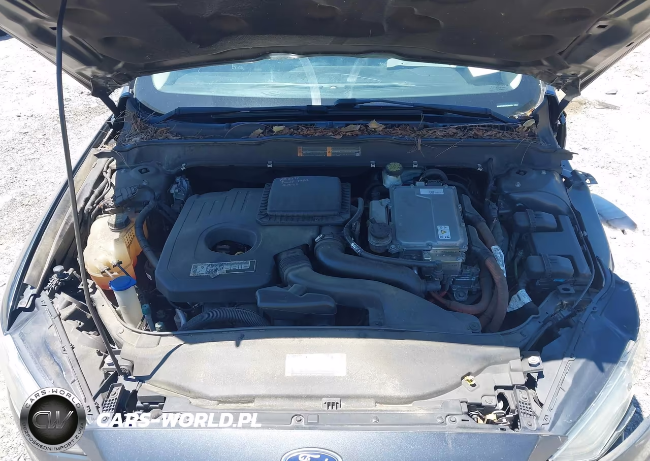 2017 Ford Fusion Hybrid Se VIN:3FA6P0LU8HR296259 - 10