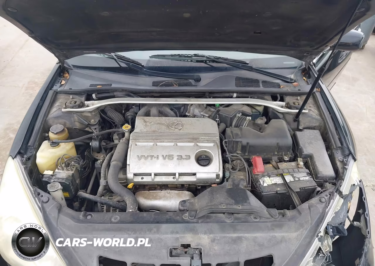 2004 Lexus Es 330 VIN:JTHBA30G145051082 - 10