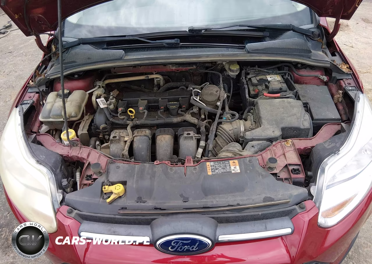 2014 Ford Focus Se VIN:1FADP3K23EL318414 - 10