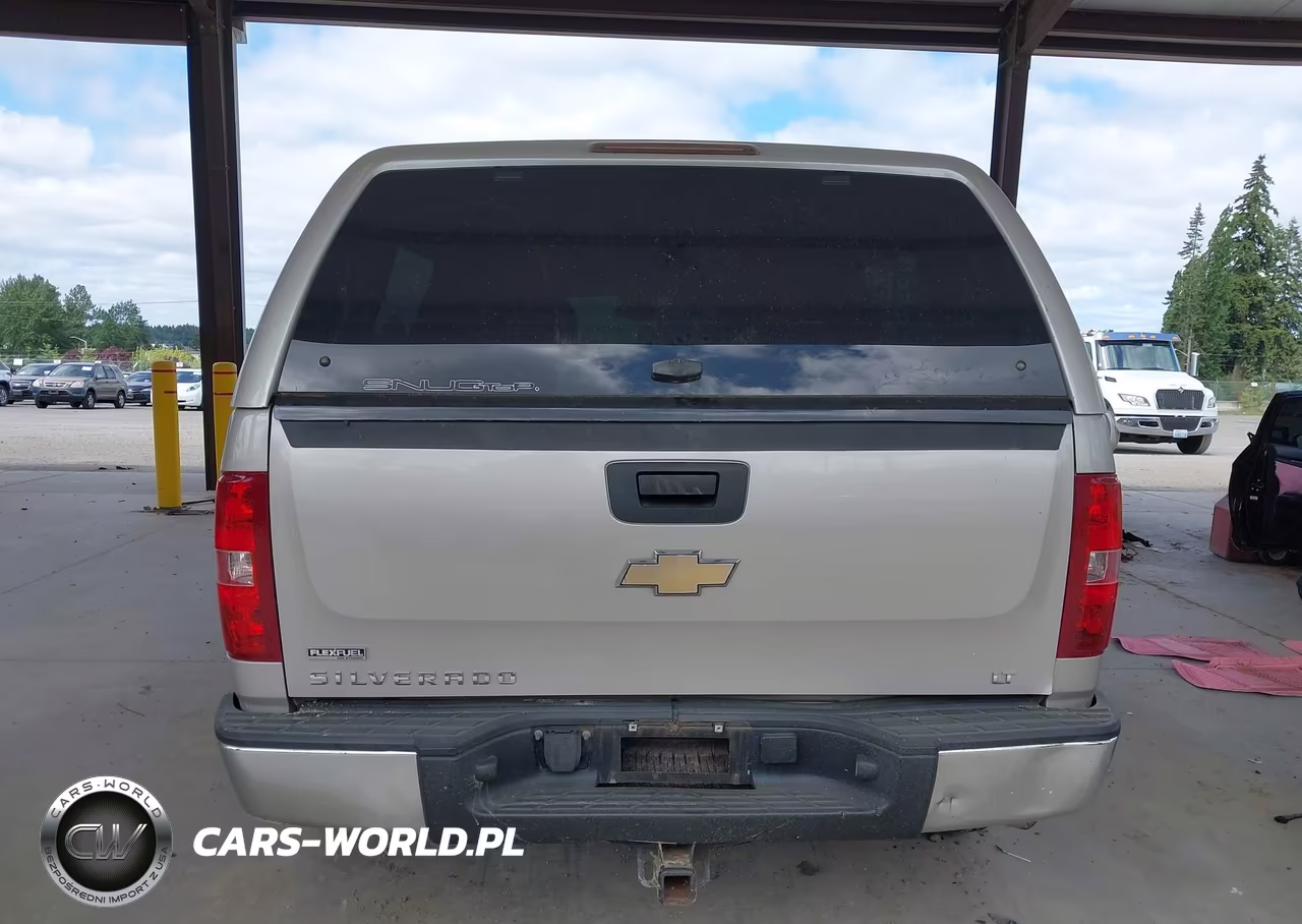 2009 Chevrolet Silverado 1500 Lt VIN:3GCEK23389G193380 - 16