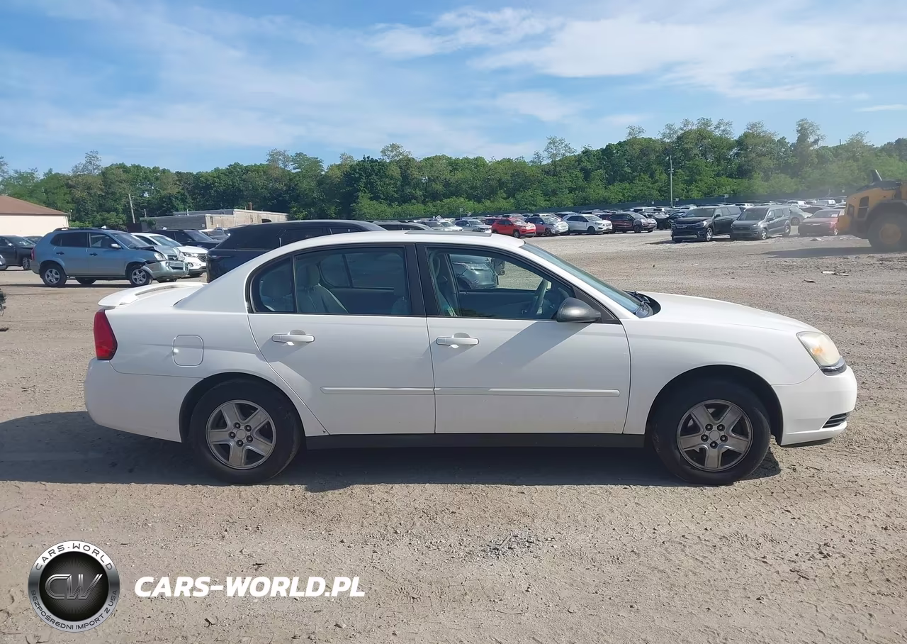 2005 Chevrolet Malibu Ls VIN:1G1ZT54885F241653 - 13