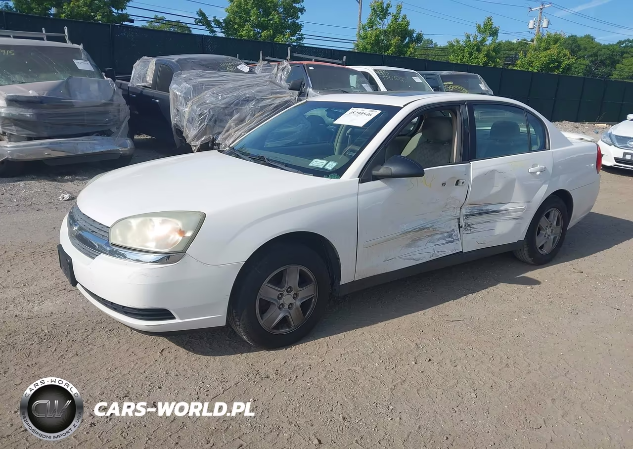 2005 Chevrolet Malibu Ls VIN:1G1ZT54885F241653 - 2