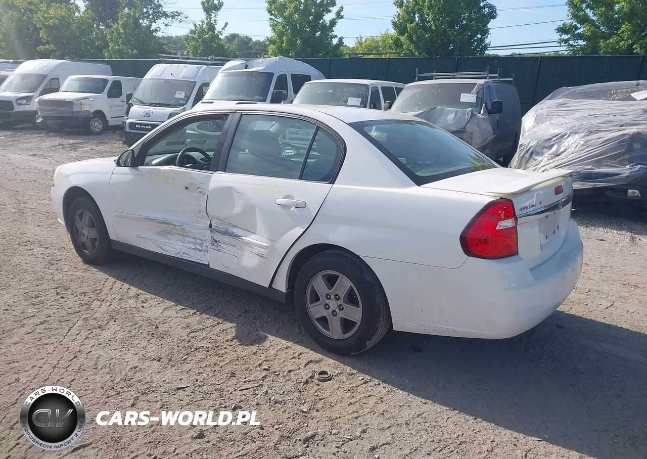 2005 Chevrolet Malibu Ls VIN:1G1ZT54885F241653 - 3