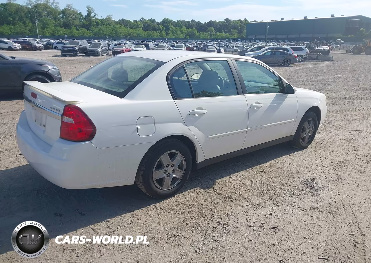 2005 Chevrolet Malibu Ls VIN:1G1ZT54885F241653 - 4