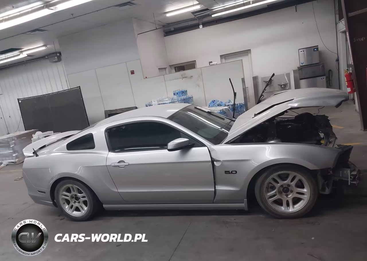 2013 Ford Mustang Gt Premium VIN:1ZVBP8CF3D5267688 - 13