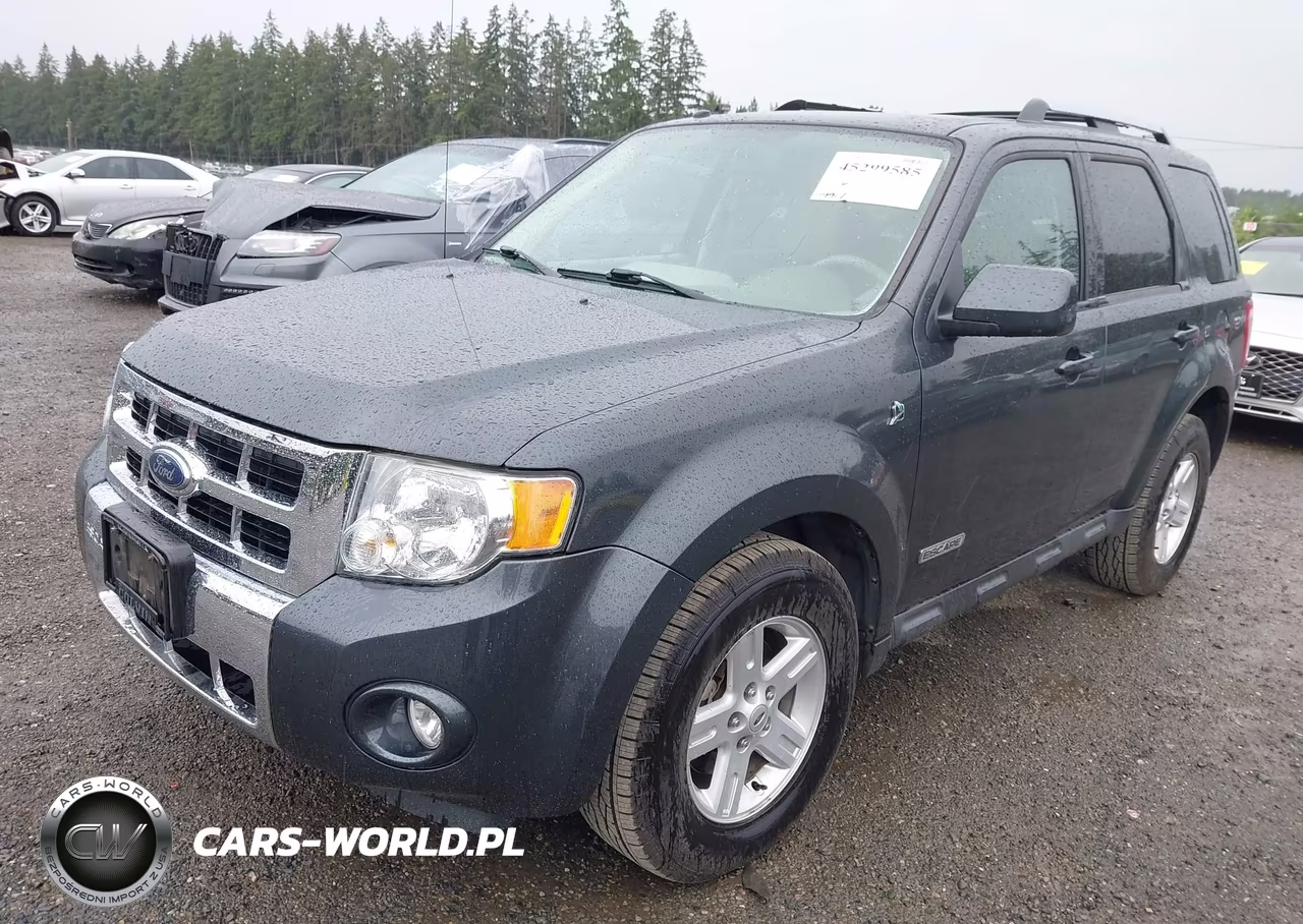 2008 Ford Escape Hybrid VIN:1FMCU59H38KD83189 - 2