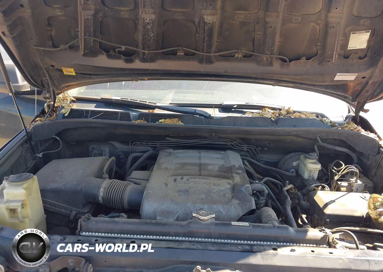 2010 Toyota Tundra Grade 5.7L V8 VIN:5TFRY5F14AX079260 - 10