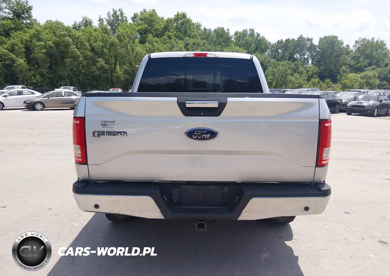2015 Ford F-150 Xlt VIN:1FTEW1EP1FFC83580 - 17