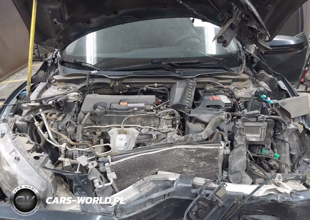 2016 Honda Civic Lx VIN:19XFC2F54GE239875 - 10