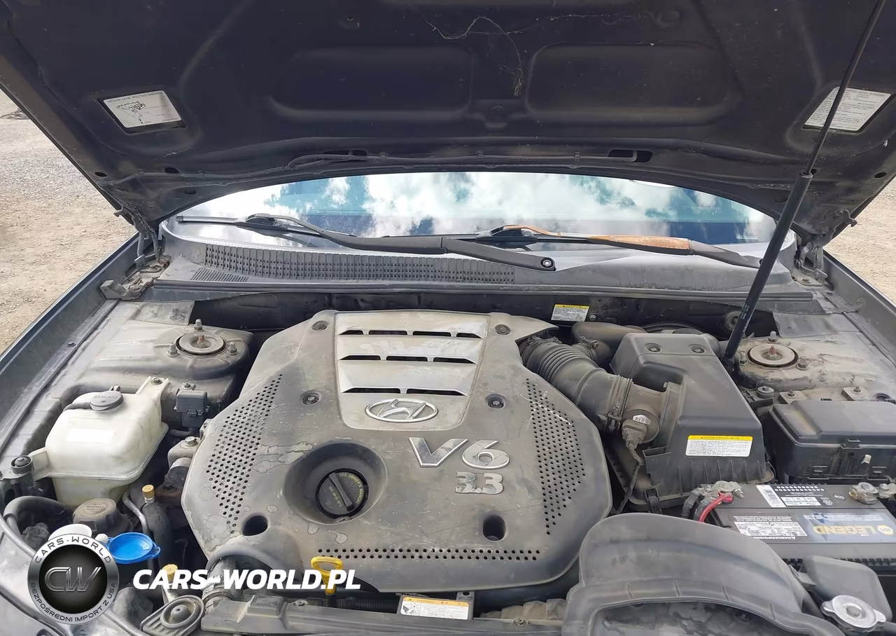 2007 Hyundai Sonata Limited-Se V6 VIN:5NPEU46F97H161604 - 10