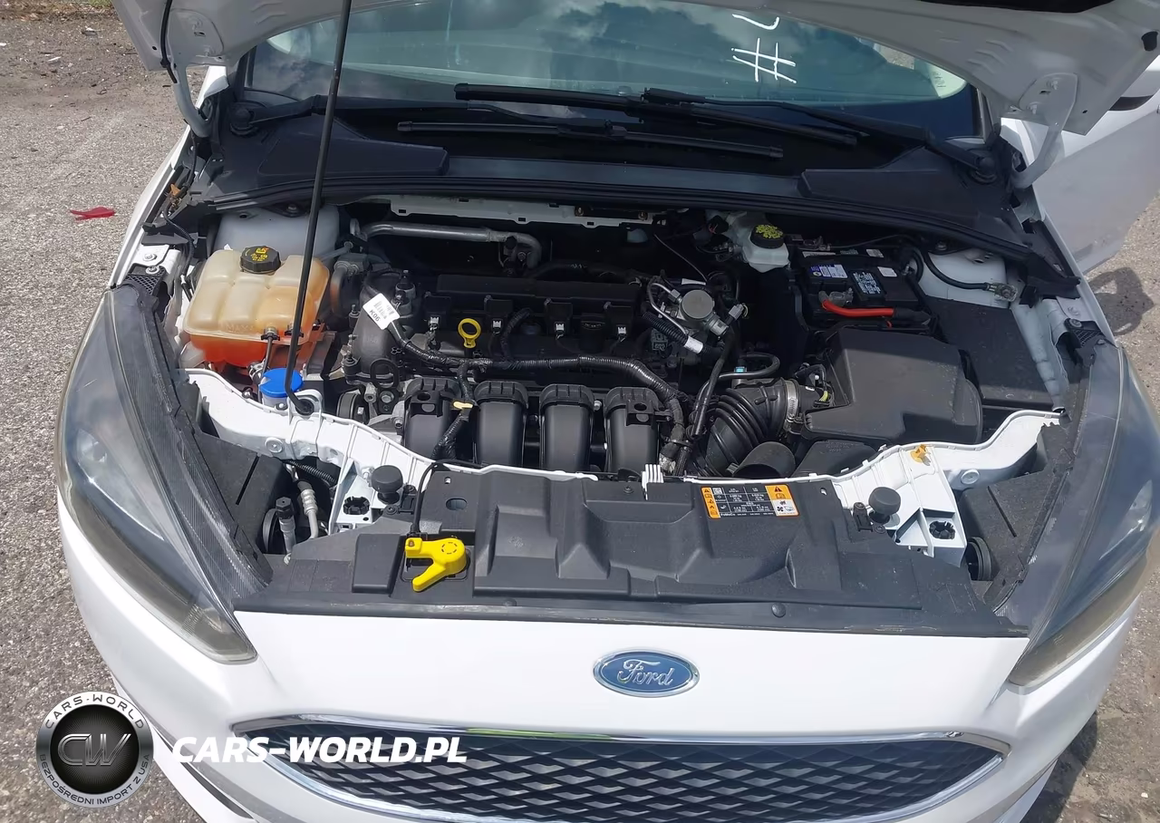 2018 Ford Focus Se VIN:1FADP3K24JL332381 - 10