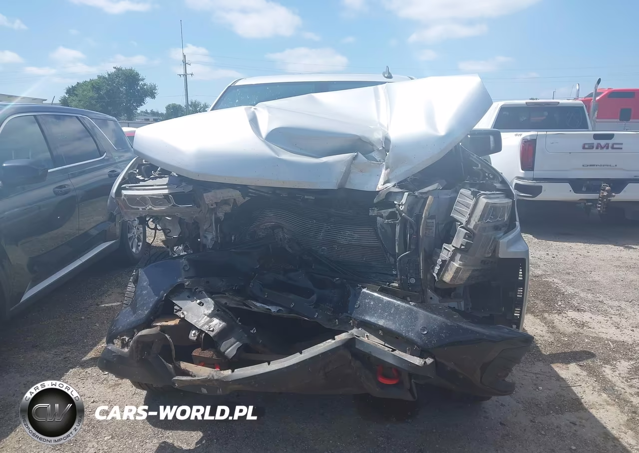 2020 Chevrolet Silverado 1500 4Wd Short Bed Lt Trail Boss VIN:1GCPYFED0LZ320814 - 12