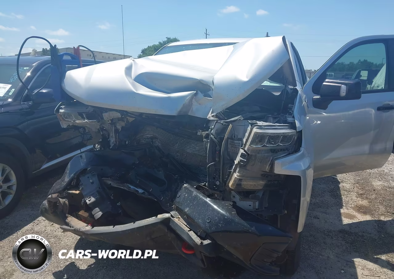 2020 Chevrolet Silverado 1500 4Wd Short Bed Lt Trail Boss VIN:1GCPYFED0LZ320814 - 6