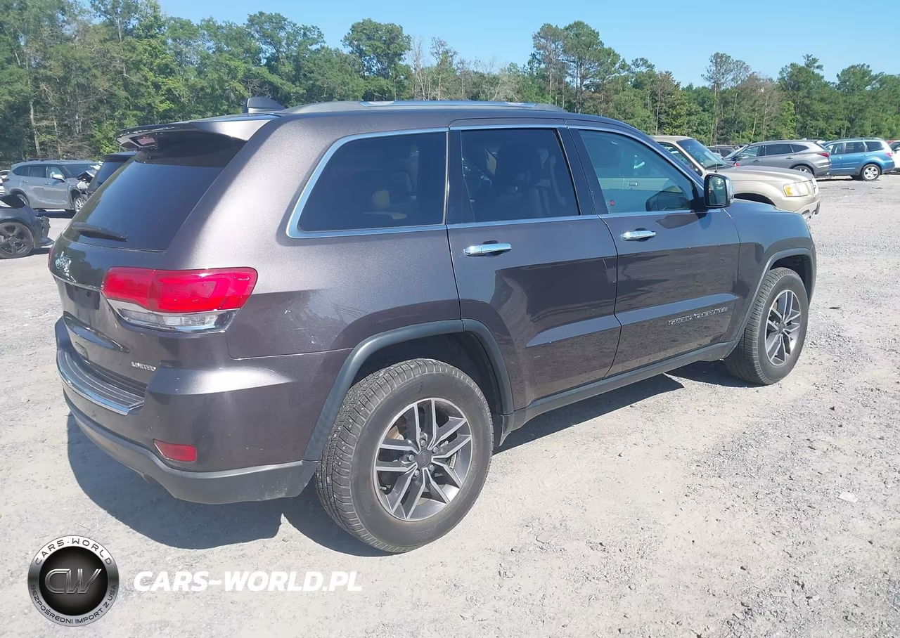2019 Jeep Grand Cherokee Limited 4X2 VIN:1C4RJEBG3KC680733 - 4