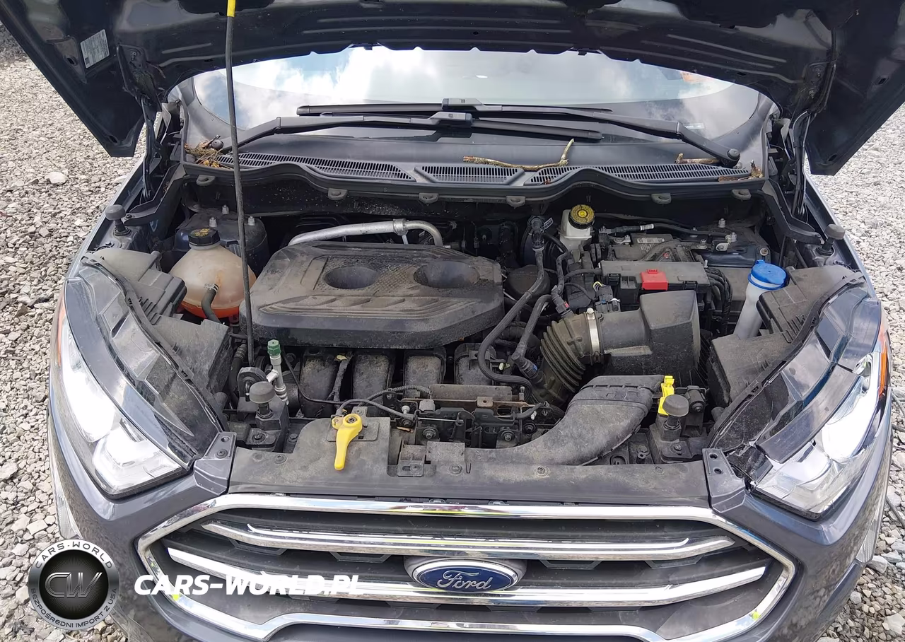 2021 Ford Ecosport Titanium VIN:MAJ6S3KL5MC454882 - 10