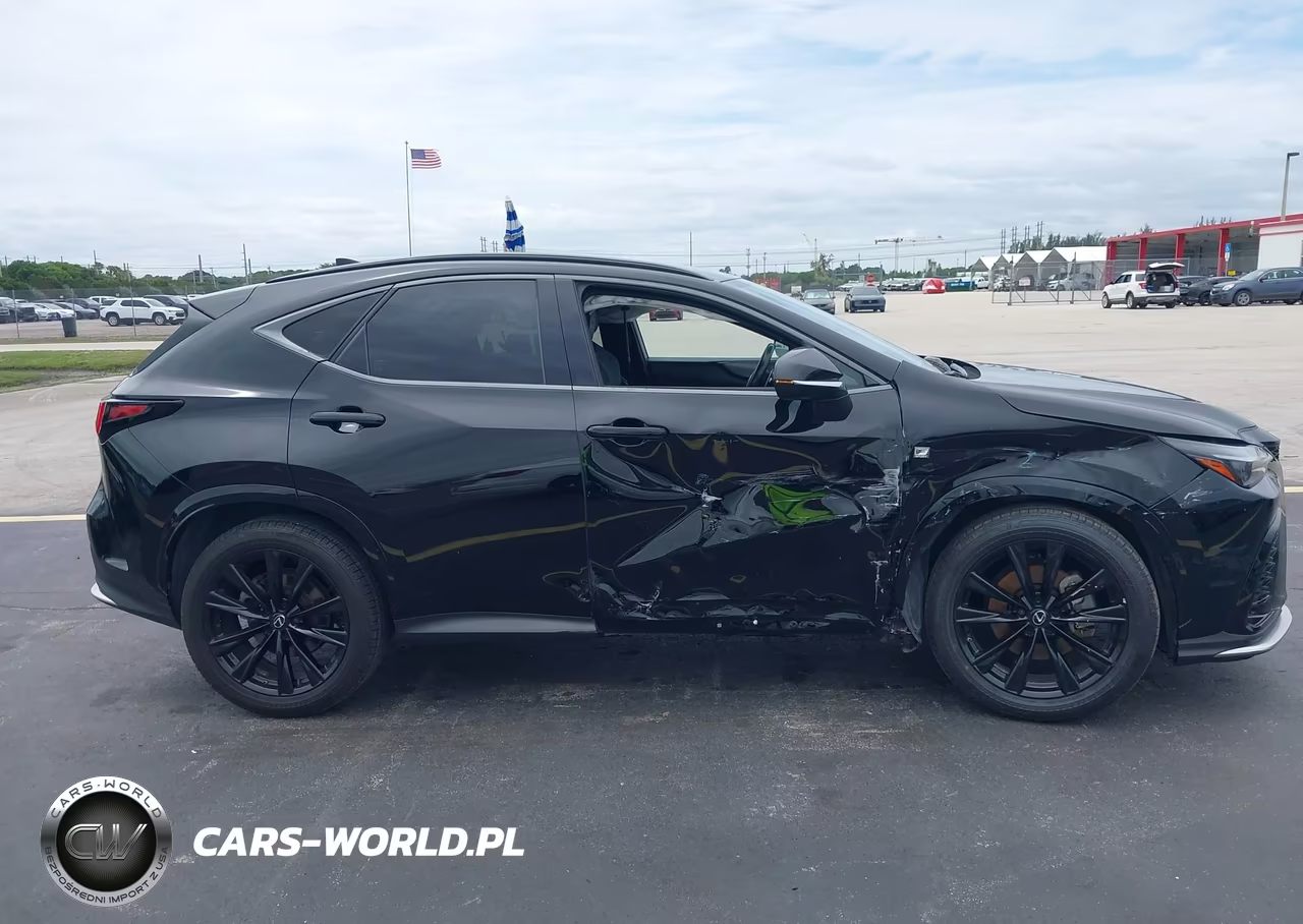 2022 Lexus Nx 350 F Sport Handling VIN:JTJKGCEZXN2006197 - 13