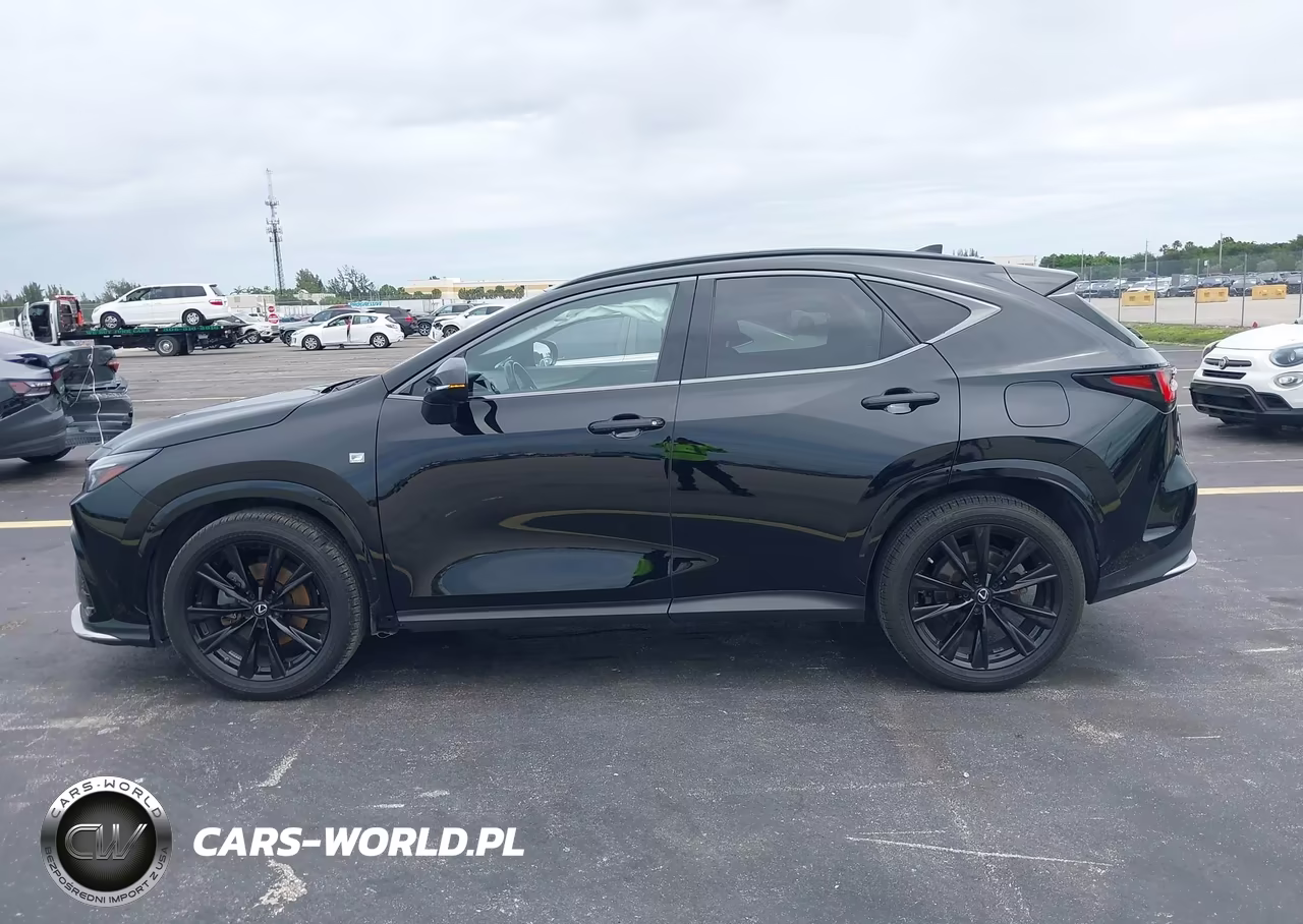 2022 Lexus Nx 350 F Sport Handling VIN:JTJKGCEZXN2006197 - 14